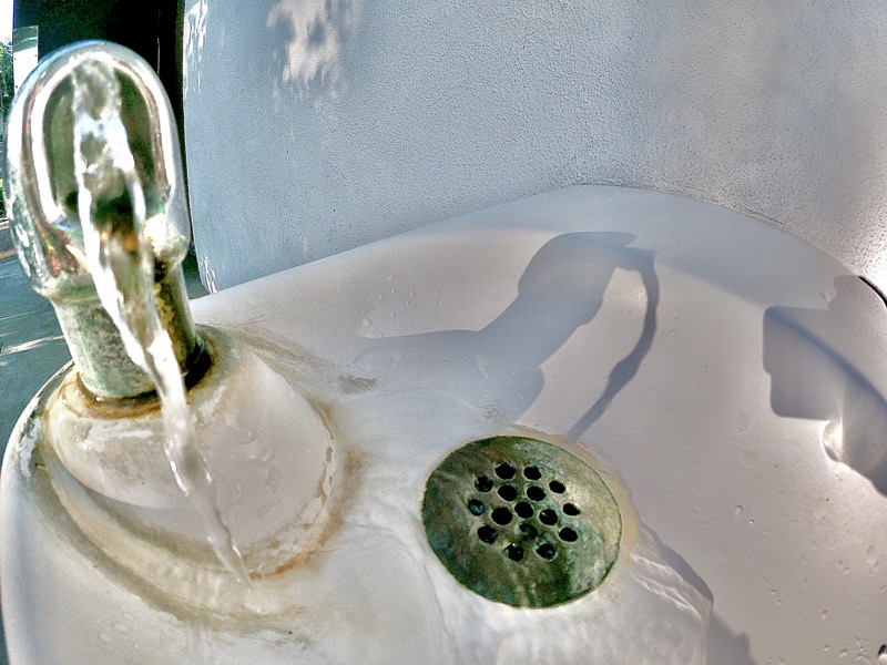 common causes your drains may be slowing down in san diego